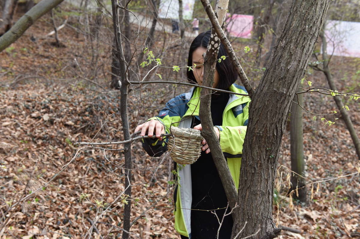 숲속에 새집 달아주기