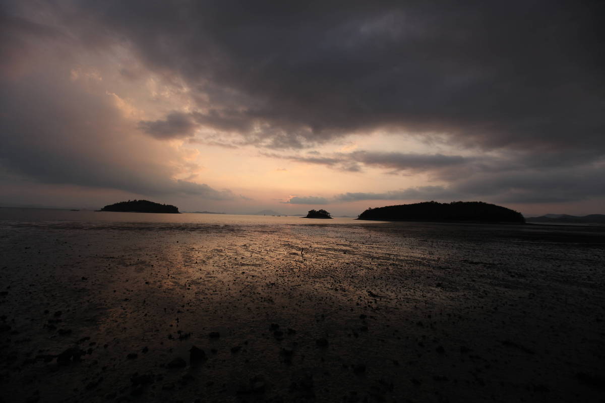 2019 여자만갯벌노을체험행사 노을