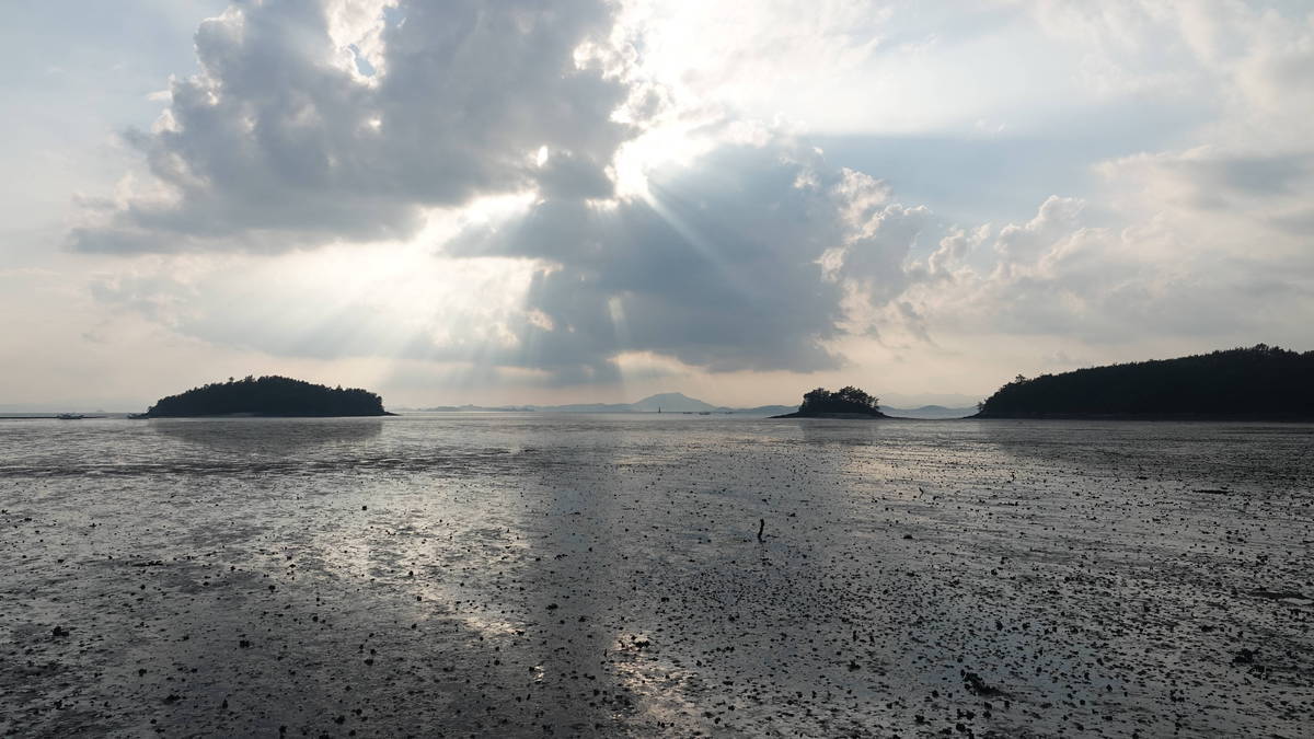 2019 여자만갯벌노을체험행사 노을