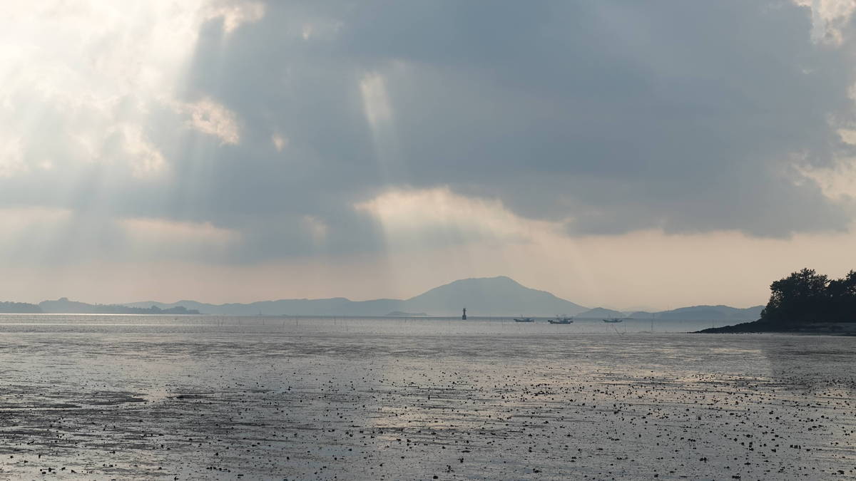 2019 여자만갯벌노을체험행사 노을