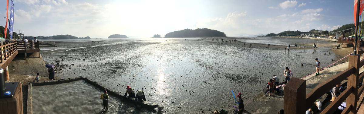 2019 여자만갯벌노을체험행사 노을