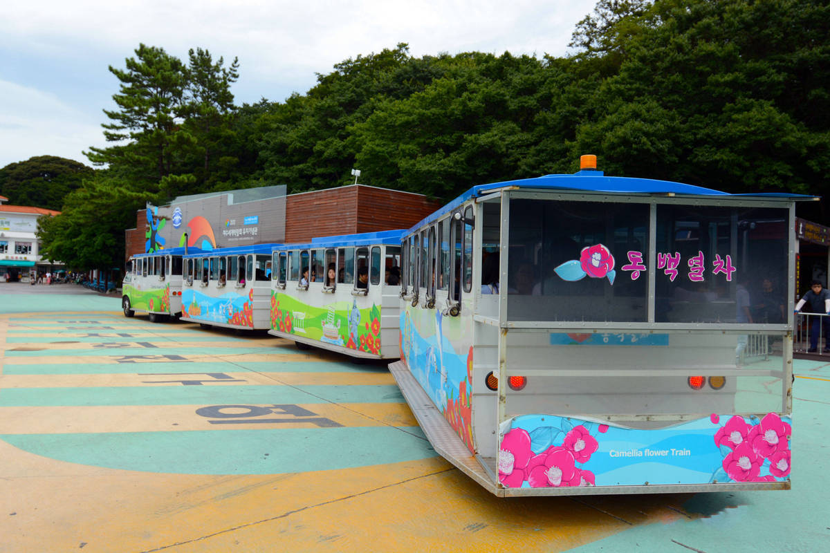 오동도_동백열차