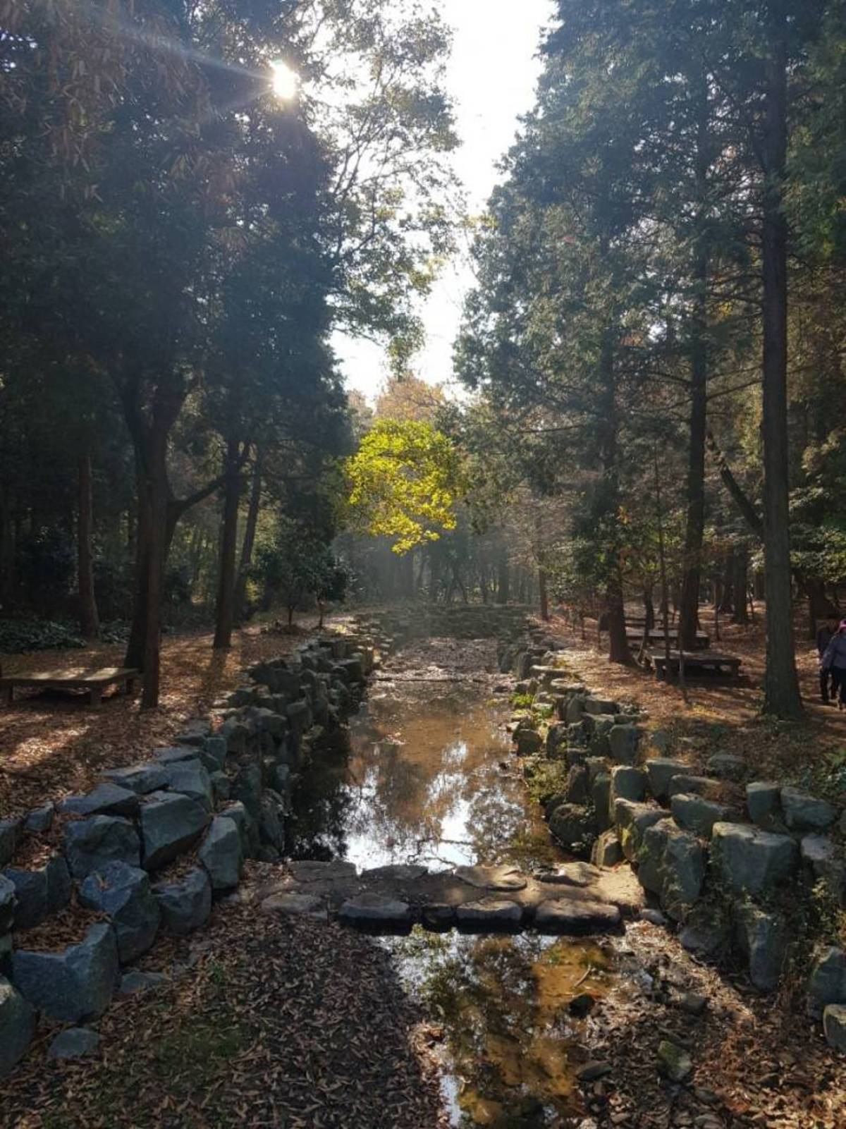 봉화산산림욕장