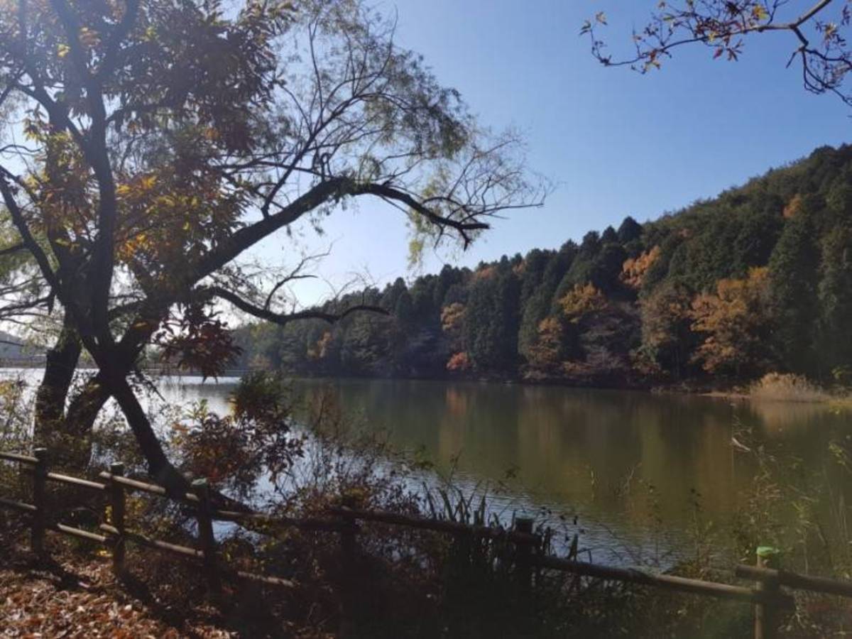 봉화산산림욕장