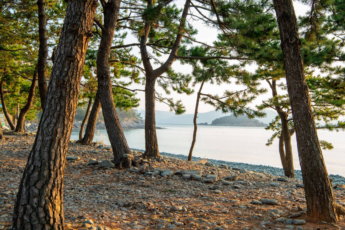 무술목 해수욕장3