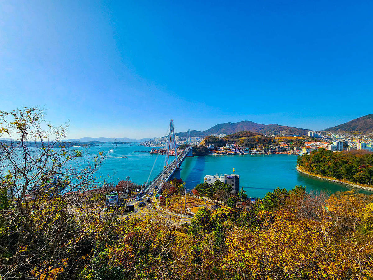 공원에서 바라보는 돌산대교 전경