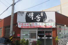 백송