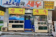 고래와 새우
