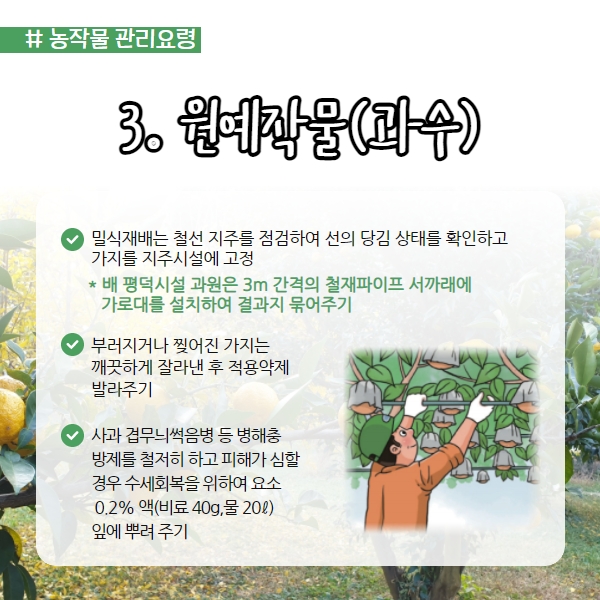 뒤늦은 장마 미리 대비하세요! 농작물 및 농업시설물 관리요령