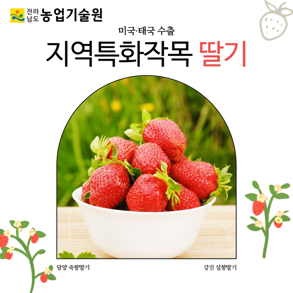26. 지역특화작목 딸기, 미국.태국 수출 1.png