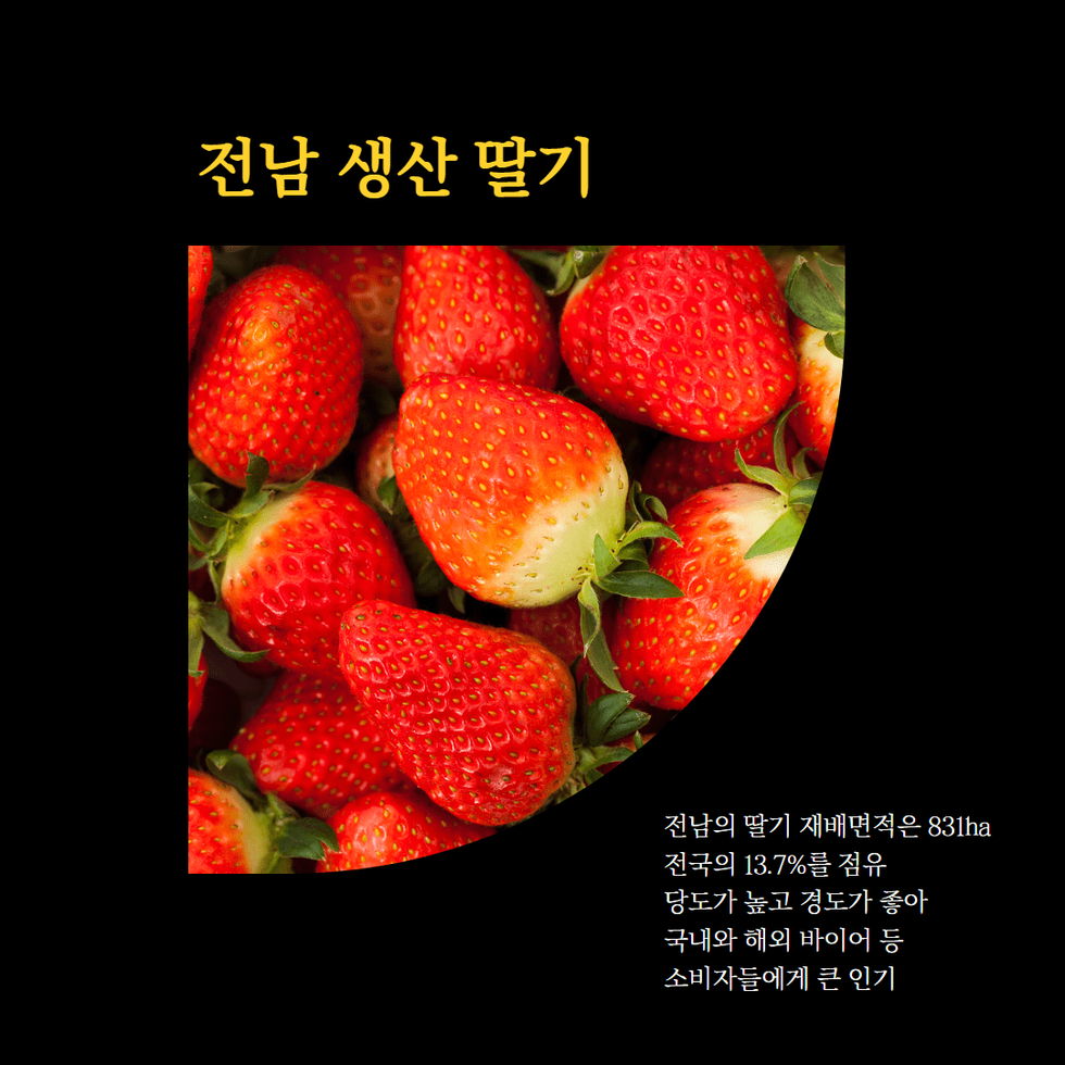 26. 지역특화작목 딸기, 미국.태국 수출 3.png