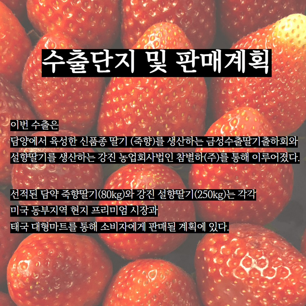 26. 지역특화작목 딸기, 미국.태국 수출 4.png