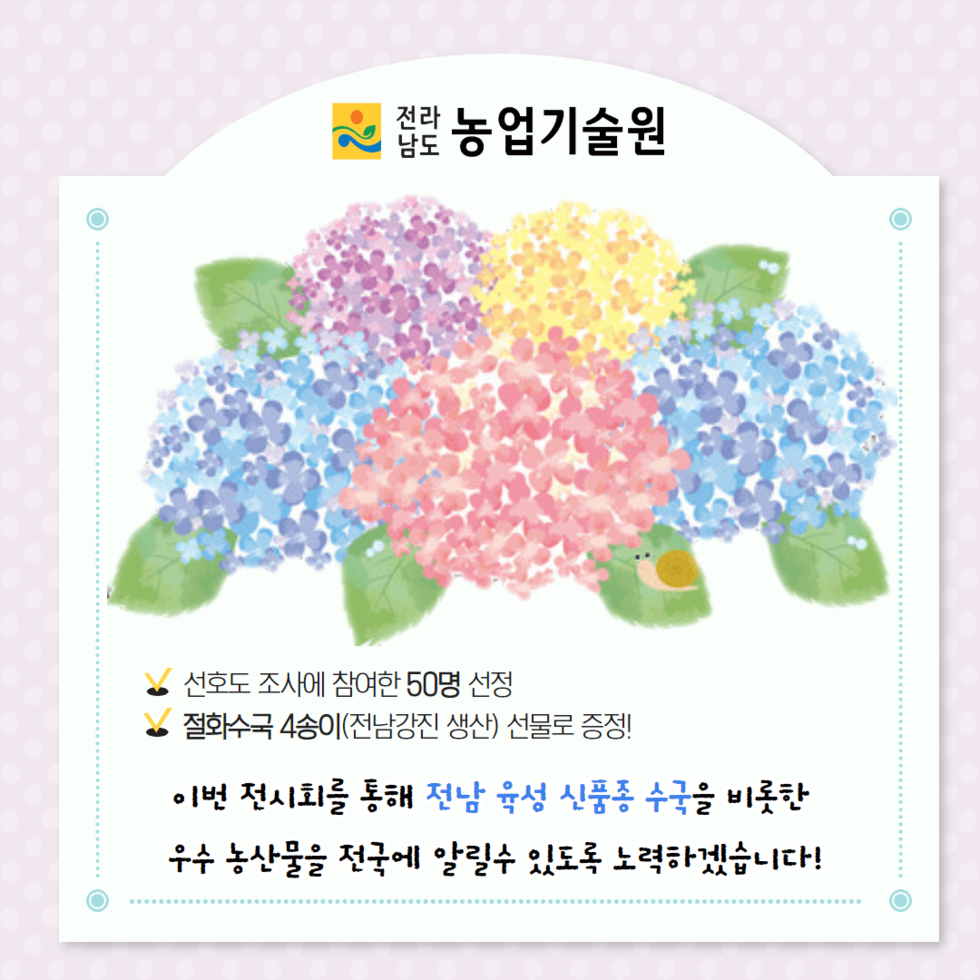 62. 수국 신품종 서울식물원 전시 호평 5.png