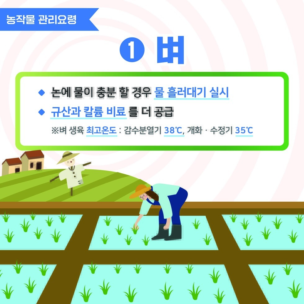 여름철 폭염대비