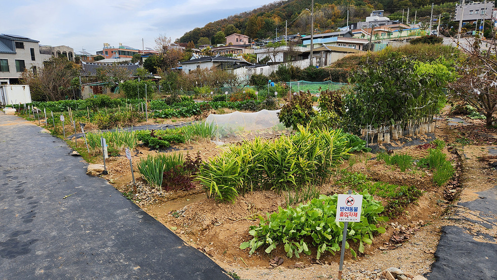 여수시, 2026년 도시민 친환경 가족텃밭 참가자 모집