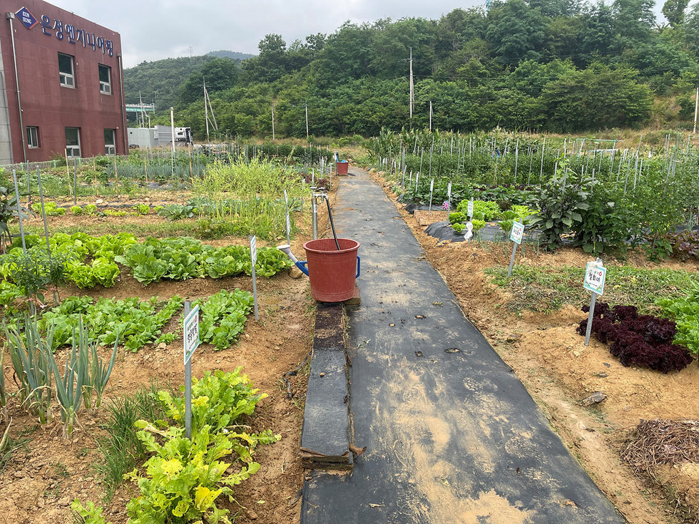 여수시, 2026년 도시민 친환경 가족텃밭 참가자 모집1