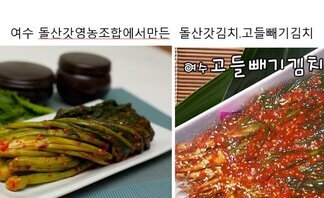 농민이 직접 재배 생산 판매까지 -여수 돌산갓영농조합에서 만든 돌산갓김치. 고들빼기김치 제품 사진