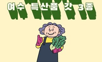 체험키트 여수 특산품 갓 3 종  여수 특산품 돌산 갓김치/갓물김치/갓피클 체험 키트 (택1)