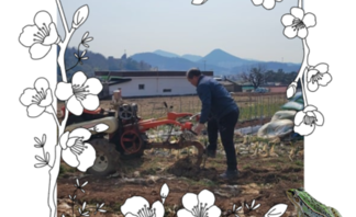 [250307]마을 공유 텃밭(흙 뒤집기)