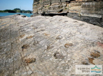 절벽주변에 찍혀있는 공룡발자국모습