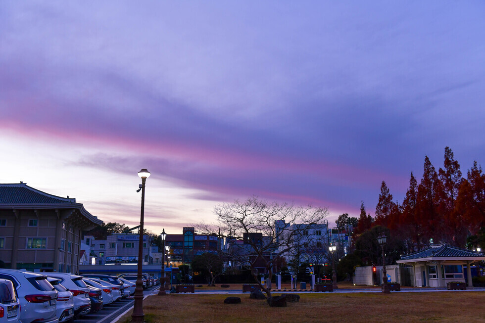 20241212 크리스마스트리 점등 행사-1.jpg