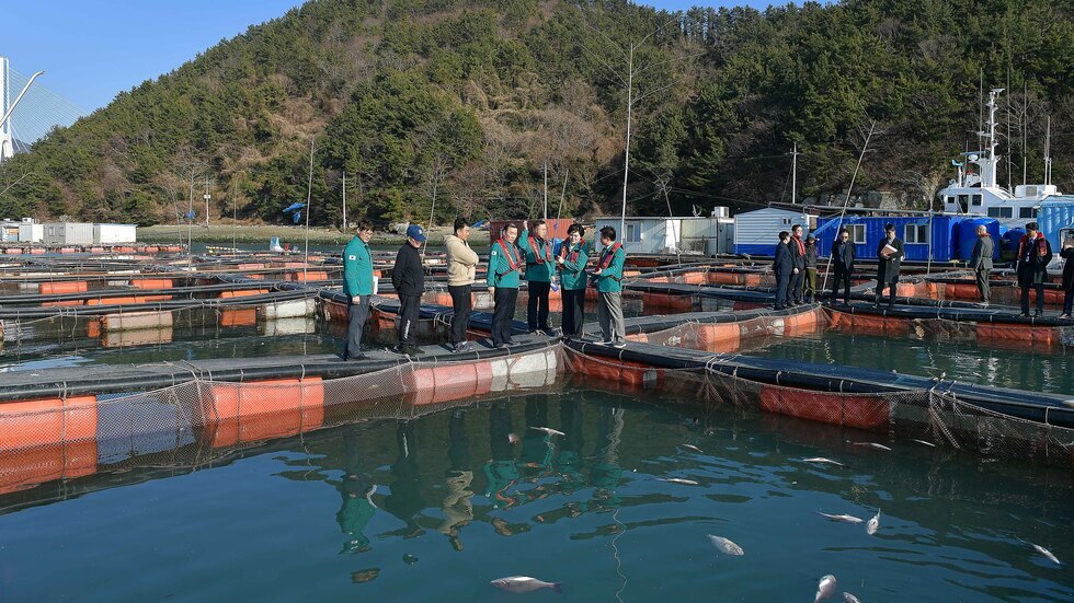 20250228 저수온 피해 어류양식장 현장 방문-5.jpg