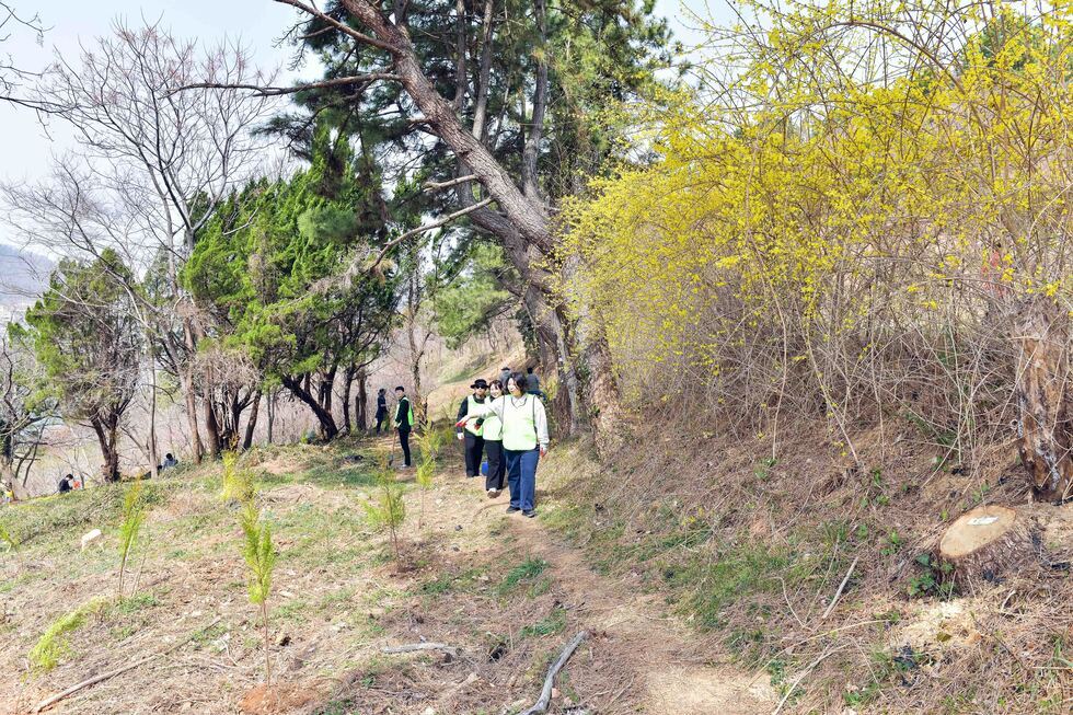 20250324 2026여수세계섬박람회 소망나무 심기 제80회 식목일 행사-30.jpg