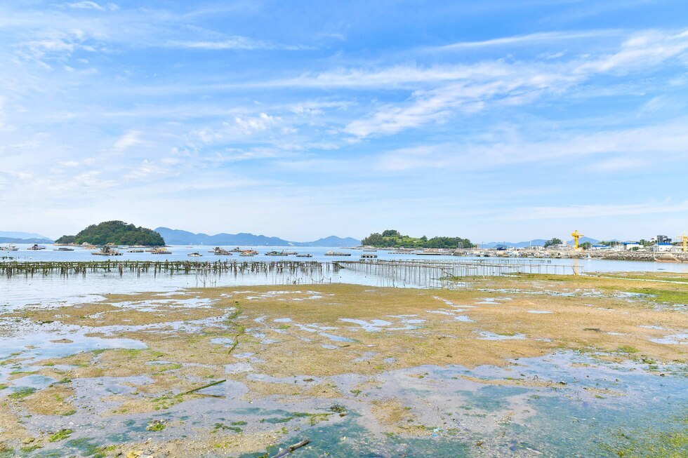 20250607 금천항 어촌뉴딜300사업 금봉리 주민 화합 한마당-4.jpg
