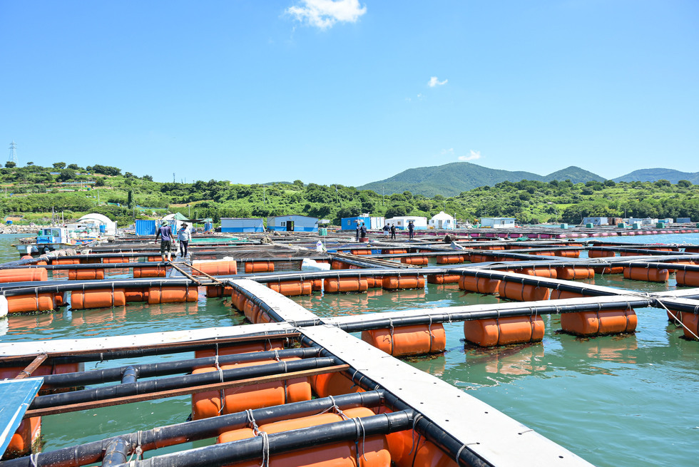 20250729 하절기 현안 사업 및 폭염 관련 현장 방문(해상가두리 양식장 점검)-3.jpg