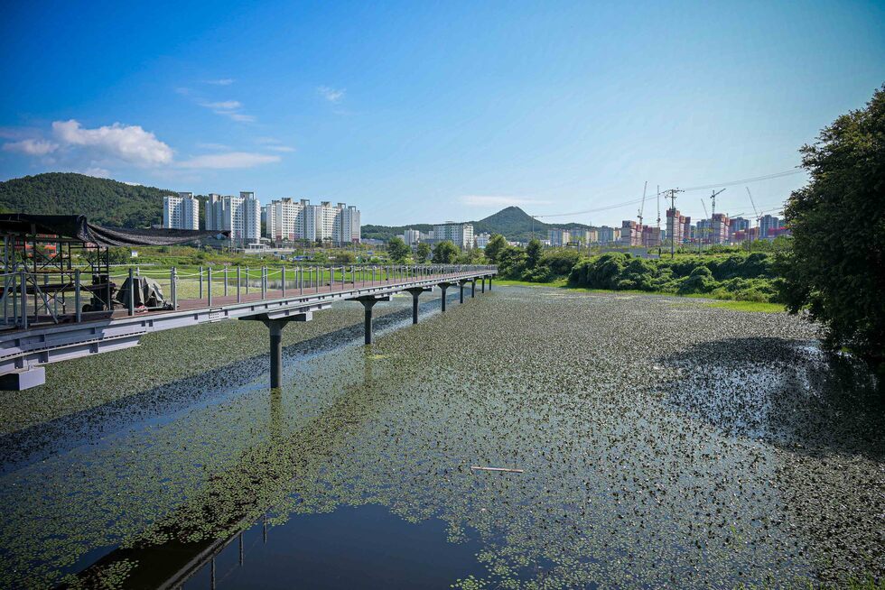 20250905 9월 권역별 현장 간부회의-10.jpg