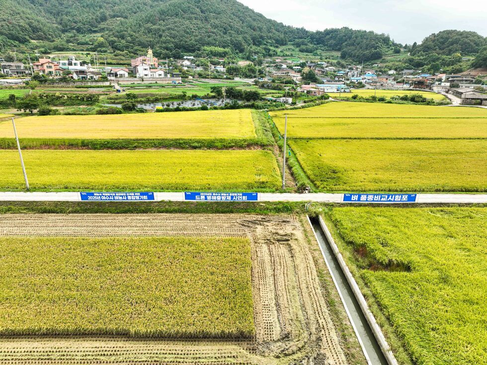 20250924 벼농사 종합평가회-15.jpg