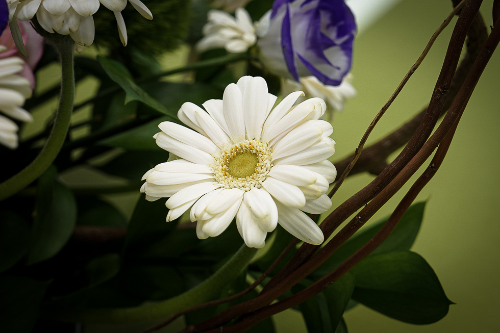 20251020 (주)서우인 후원 사회복지시설 물티슈 지원 후원증서 전달식-1.jpg