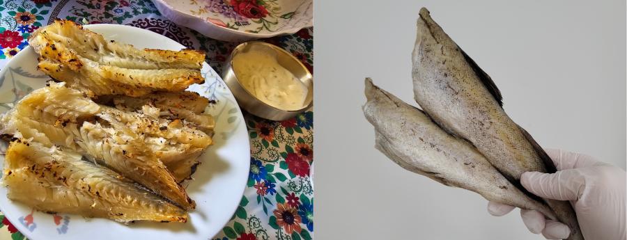 [여수를담다] 촉촉노가리(반건조) 노가리구이/반건노가리