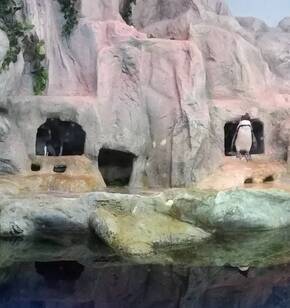 여수 아쿠아리움 방문