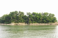 황도 전경