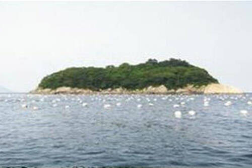 밤섬