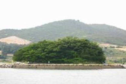 소당도(묘도동) 이미지