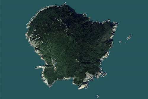 이미지