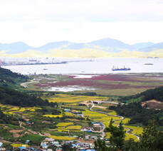 묘도봉화산전망대_1