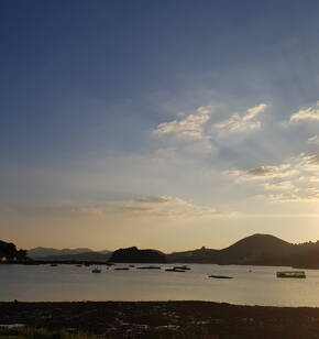 웅천장도를 바라보며