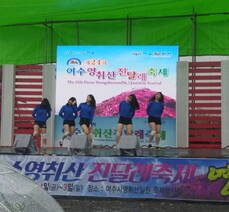 제24회 영취산진달래축제(부대행사)