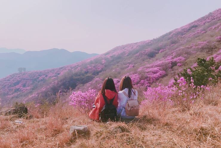 For our Friendship