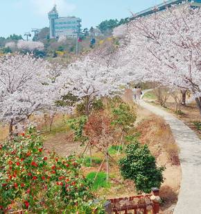 자산공원에 내린 봄