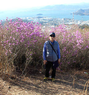 여수 영취산 진달래축제