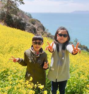 하화도 꽃 넘 이뻐