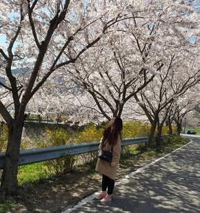 여수 돌산 승월마을