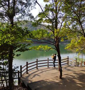 미평 봉계산 산림욕에서