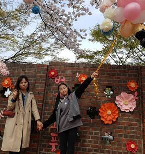 딸과 함께 벚꽃소풍