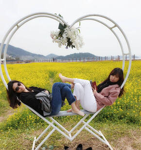 반월마을 유채꽃에 취해봄