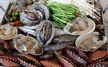 해물